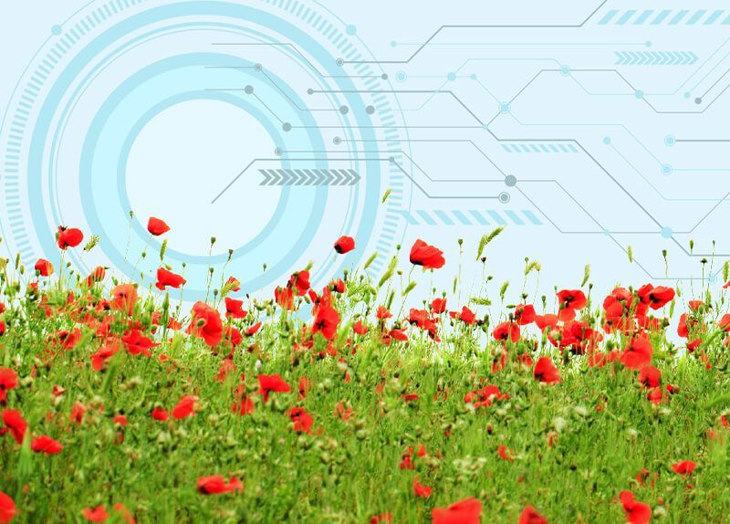 Компания NV GROUP объявляет акцию «КРАСНАЯ ЦЕНА»