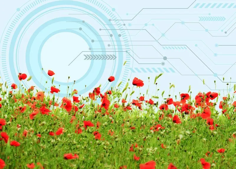 Компания NV GROUP объявляет акцию «КРАСНАЯ ЦЕНА»